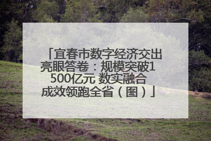 宜春市数字经济交出亮眼答卷：规模突破1500亿元 数实融合成效领跑全省（图）