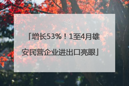 增长53%！1至4月雄安民营企业进出口亮眼