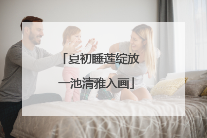 夏初睡莲绽放 一池清雅入画