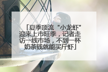 夏季顶流“小龙虾”迎来上市旺季，记者走访一线市场，不到一杯奶茶钱就能买斤虾