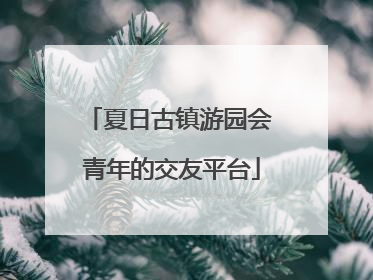 夏日古镇游园会 青年的交友平台