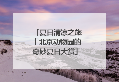 夏日清凉之旅丨北京动物园的奇妙夏日大赏