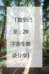 夏至已至，20字养生要诀分享