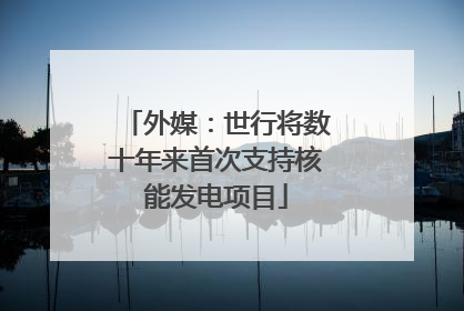 外媒：世行将数十年来首次支持核能发电项目