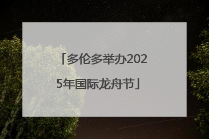 多伦多举办2025年国际龙舟节
