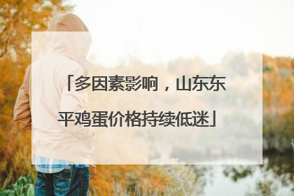 多因素影响，山东东平鸡蛋价格持续低迷