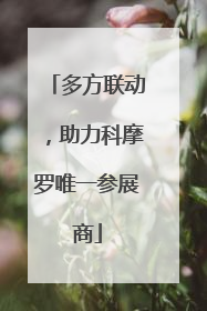 多方联动，助力科摩罗唯一参展商