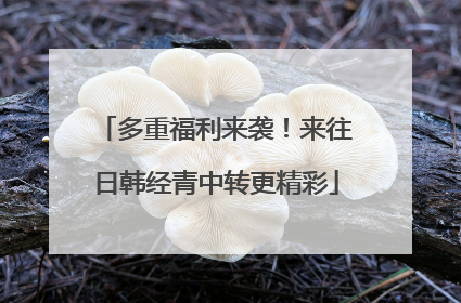 多重福利来袭！来往日韩经青中转更精彩