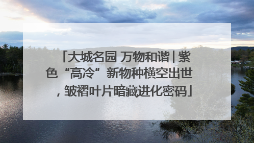 大城名园 万物和谐│紫色“高冷”新物种横空出世，皱褶叶片暗藏进化密码