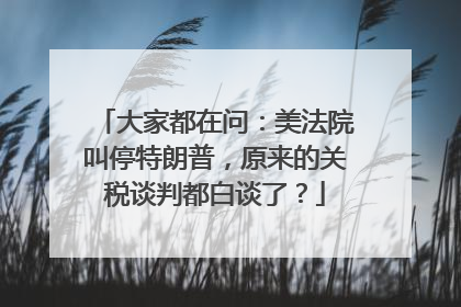 大家都在问：美法院叫停特朗普，原来的关税谈判都白谈了？