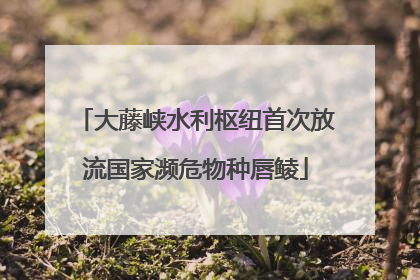 大藤峡水利枢纽首次放流国家濒危物种唇鲮