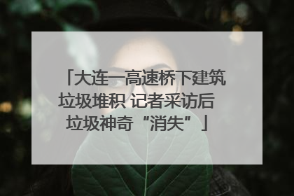 大连一高速桥下建筑垃圾堆积 记者采访后垃圾神奇“消失”