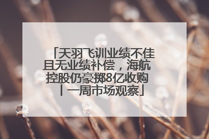天羽飞训业绩不佳且无业绩补偿，海航控股仍豪掷8亿收购丨一周市场观察