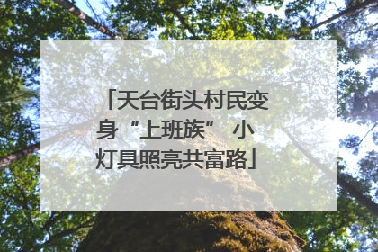 天台街头村民变身“上班族” 小灯具照亮共富路