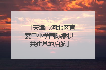 天津市河北区育婴里小学国际象棋共建基地启航