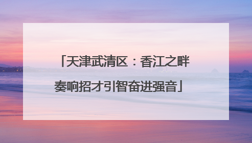 天津武清区：香江之畔奏响招才引智奋进强音