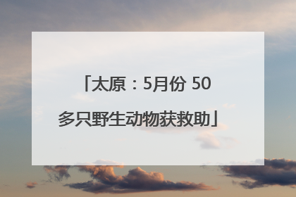 太原：5月份 50多只野生动物获救助