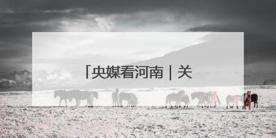 央媒看河南｜关注河南抢收小麦、促进就业等内容