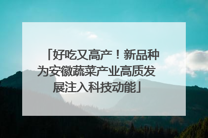 好吃又高产！新品种为安徽蔬菜产业高质发展注入科技动能