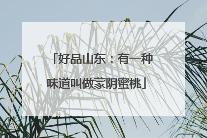 好品山东：有一种味道叫做蒙阴蜜桃
