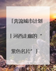 奔流城市计划丨河西走廊的“紫色名片”