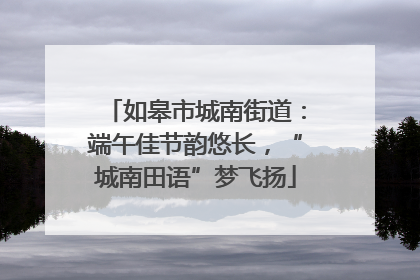 如皋市城南街道：端午佳节韵悠长，“城南田语”梦飞扬