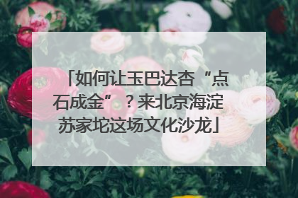 如何让玉巴达杏“点石成金”？来北京海淀苏家坨这场文化沙龙
