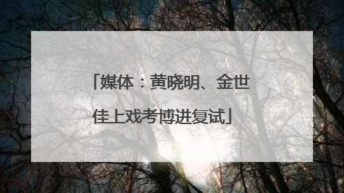 媒体：黄晓明、金世佳上戏考博进复试