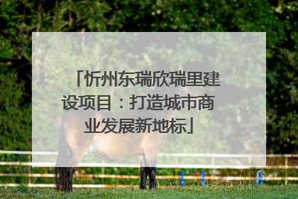 忻州东瑞欣瑞里建设项目：打造城市商业发展新地标