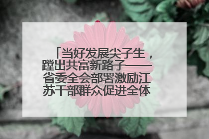 当好发展尖子生，蹚出共富新路子——省委全会部署激励江苏干部群众促进全体人民共同富裕