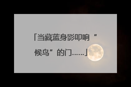 当藏蓝身影叩响“候鸟”的门……
