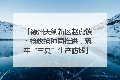 德州天衢新区赵虎镇：抢收抢种同推进，筑牢“三夏”生产防线