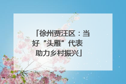 徐州贾汪区：当好“头雁”代表 助力乡村振兴