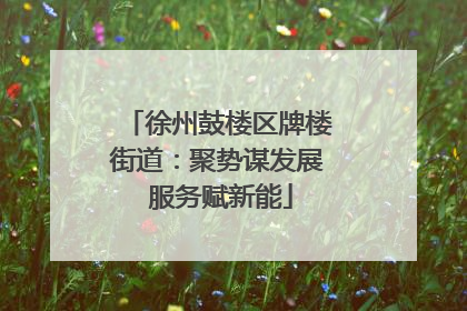 徐州鼓楼区牌楼街道：聚势谋发展 服务赋新能