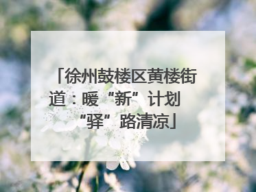 徐州鼓楼区黄楼街道：暖“新”计划 “驿”路清凉