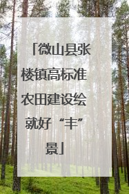 微山县张楼镇高标准农田建设绘就好“丰”景