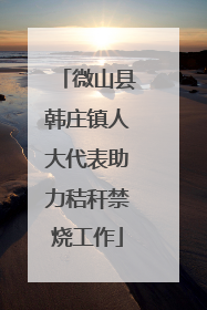 微山县韩庄镇人大代表助力秸秆禁烧工作