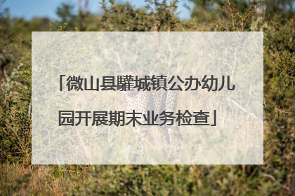 微山县驩城镇公办幼儿园开展期末业务检查