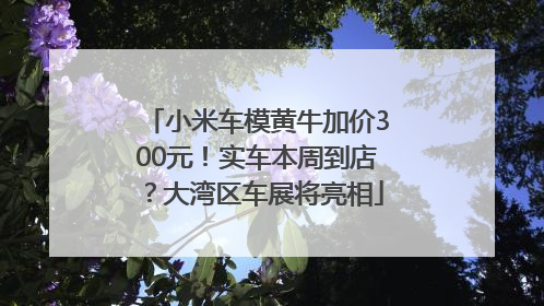 小米车模黄牛加价300元！实车本周到店？大湾区车展将亮相