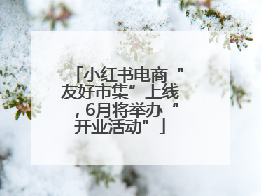 小红书电商“友好市集”上线，6月将举办“开业活动”