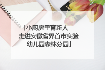 小厨房里育新人——走进安徽省界首市实验幼儿园森林分园