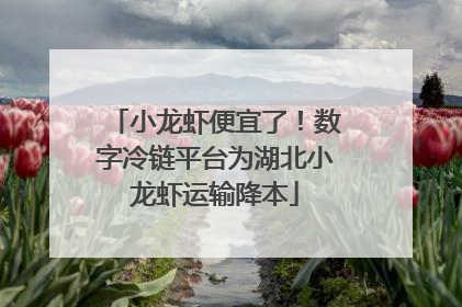 小龙虾便宜了！数字冷链平台为湖北小龙虾运输降本