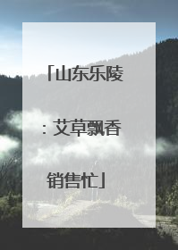 山东乐陵：艾草飘香销售忙