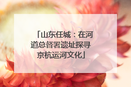 山东任城：在河道总督署遗址探寻京杭运河文化