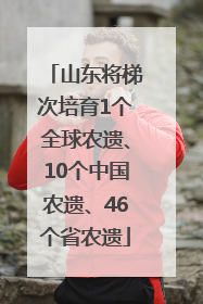 山东将梯次培育1个全球农遗、10个中国农遗、46个省农遗