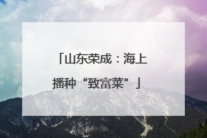 山东荣成：海上播种“致富菜”
