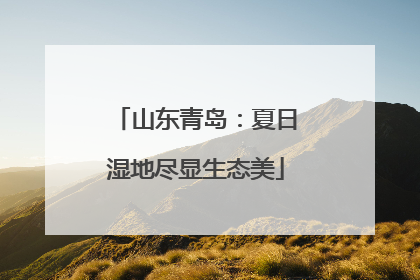 山东青岛：夏日湿地尽显生态美