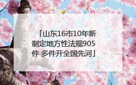 山东16市10年新制定地方性法规905件 多件开全国先河