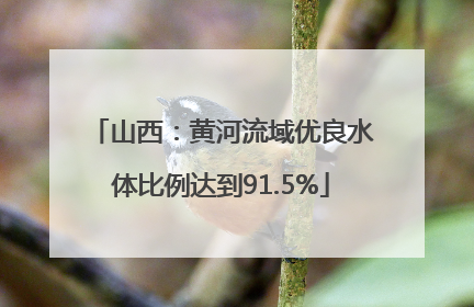山西：黄河流域优良水体比例达到91.5%