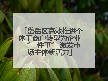 岱岳区高效推进个体工商户转型为企业“一件事” 激发市场主体新活力